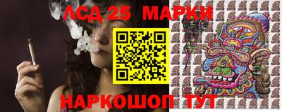 мдпв Камышлов