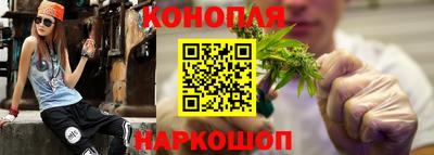 мдпв Камышлов