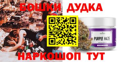 мдпв Камышлов