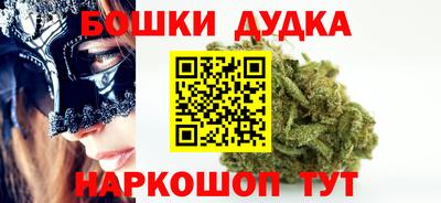 мдпв Камышлов