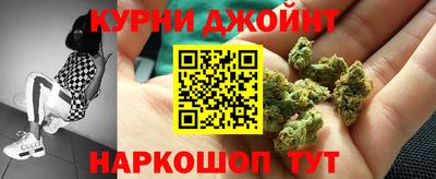 мдпв Камышлов