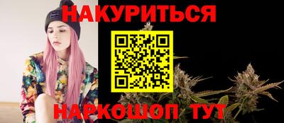 мдпв Камышлов