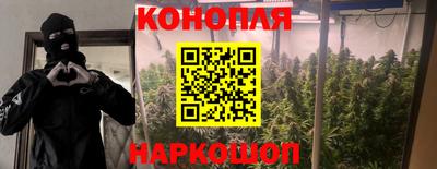 jwh Кандалакша