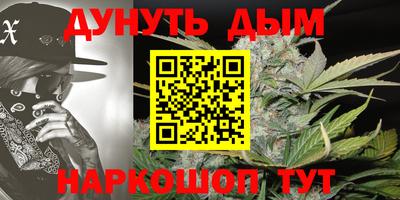 мдпв Камышлов