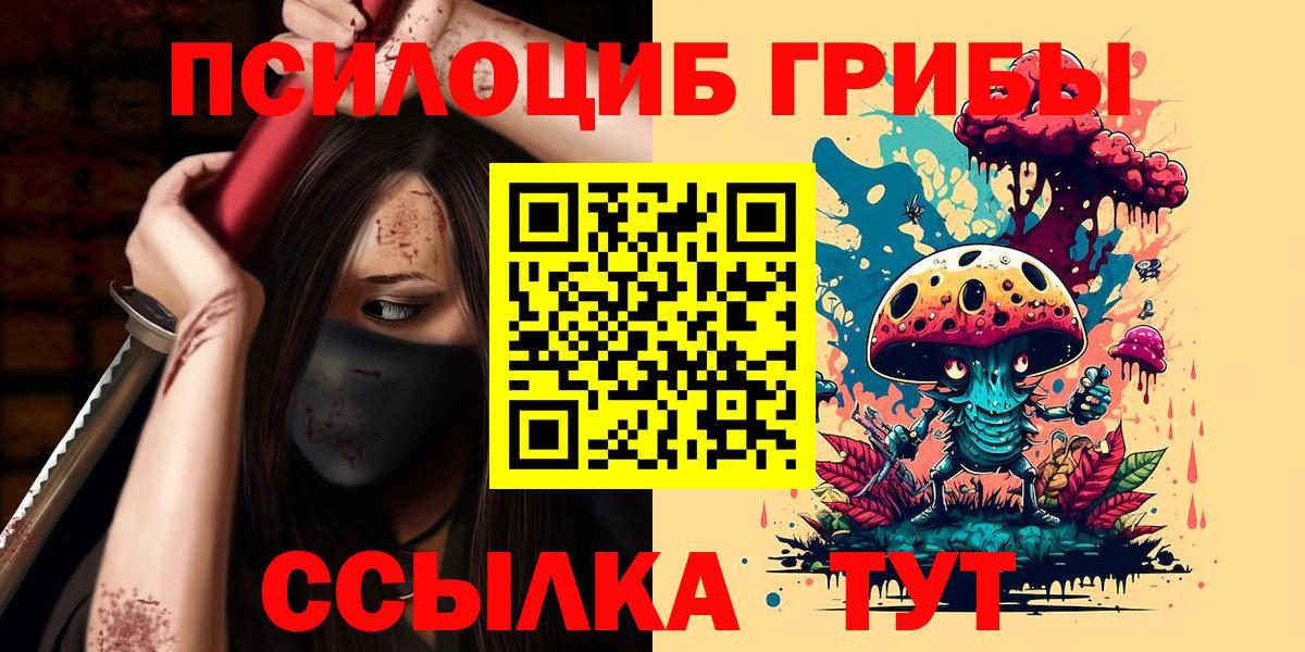 Кубинка  Псилоцибиновые грибы Psilocybe  купить закладку  Вход с VPN 